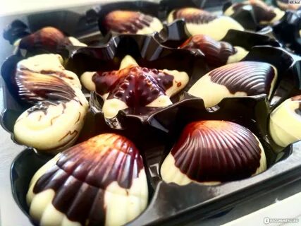Бельгийские ракушки