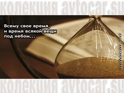 Всякому свое время 5