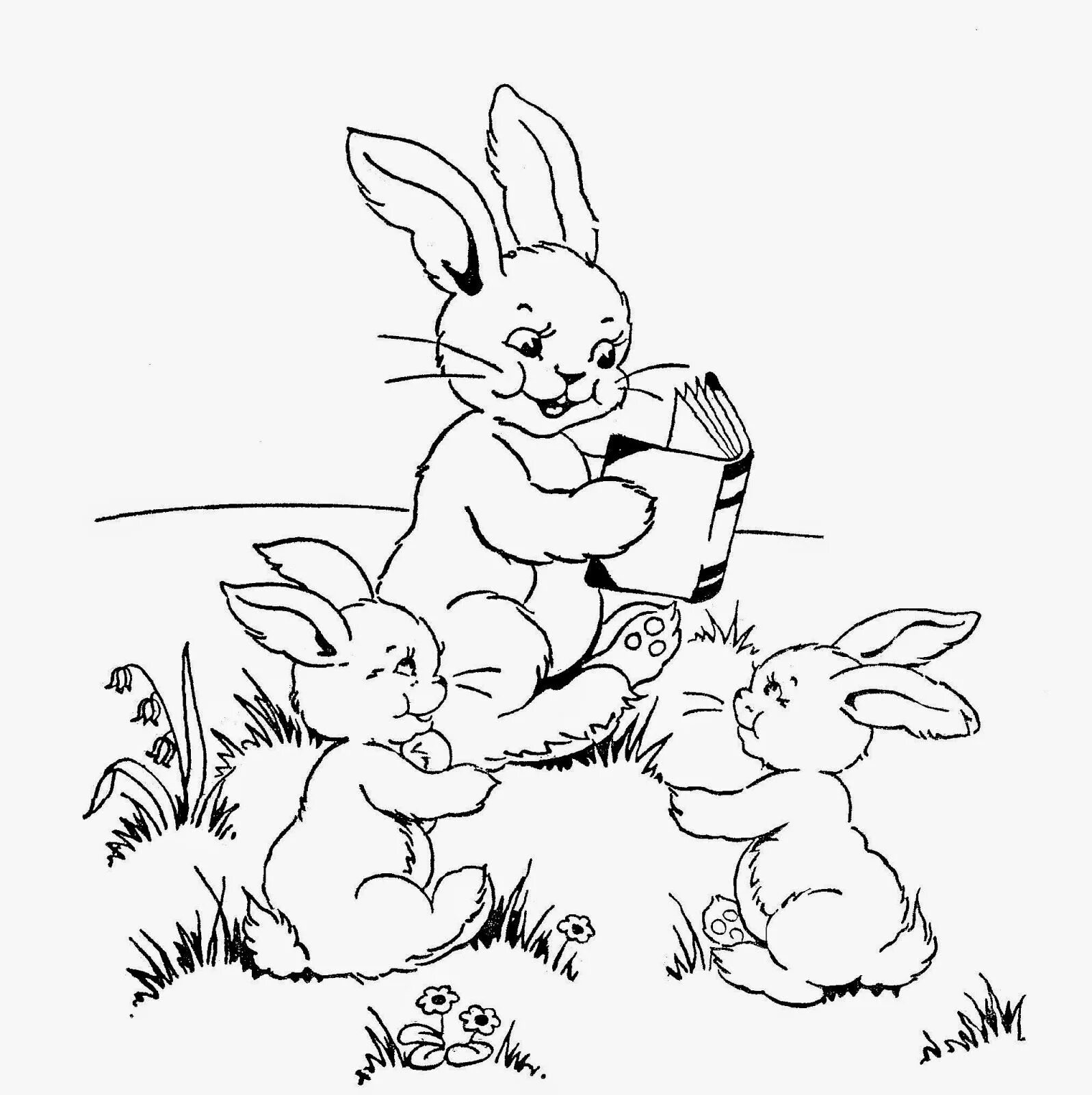 Про зайчишку и овощи. Заяц раскраска для детей. Зайчик раскраска для малышей. Раскраска зайчиха с зайчатами. Заяц и Зайчонок раскраска.