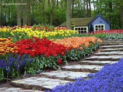 Flower garden