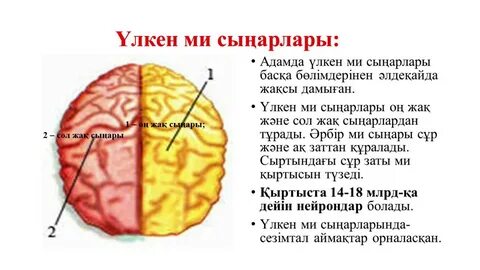 Ауыл моншасындағы орысша порно