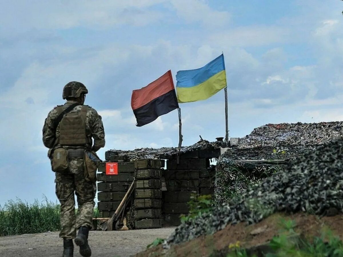 Донецк и луганск война 2014. Война на украине 2014 донбасс. Домбас. Украина после войны 2014. Домбас.