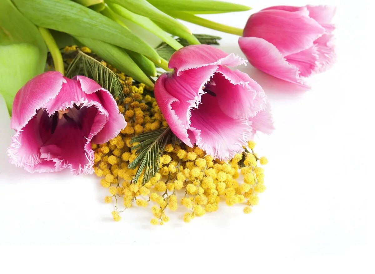 Праздник весны праздник мам. Мимоза и тюльпаны. Весенний букет с мимозой и тюльпанами.