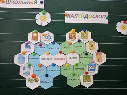 Школа калейдоскоп