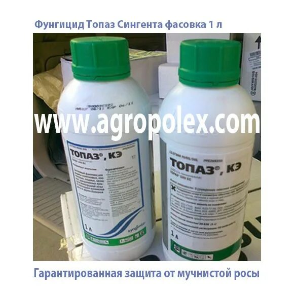 Топаз для винограда инструкция. Топаз фунгицид. Препарат топаз Syngenta. Фунгицид топаз : 10 мл. Топаз фунгицид для винограда.