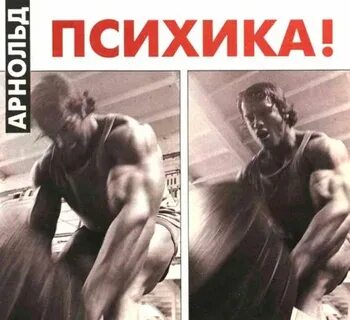 Журнал сила