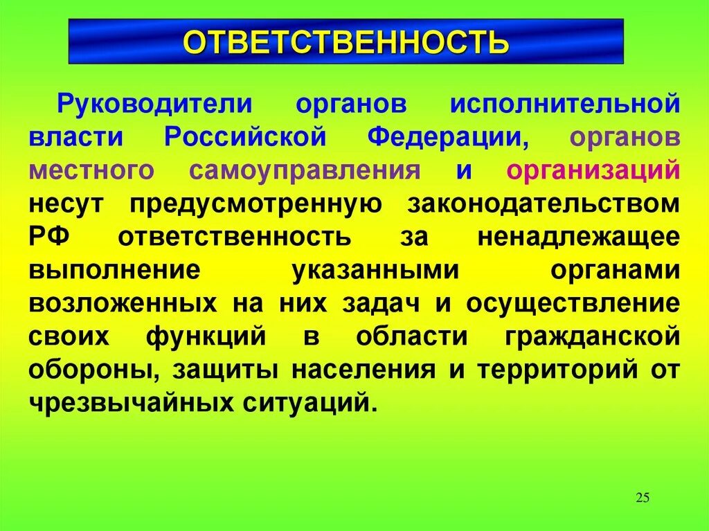 Обязанности исполнительной власти рф