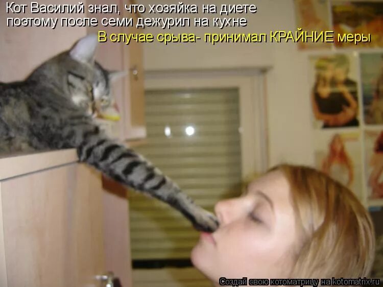 Удивленный котенок. Котик с лапкой у рта. Кот девушке лапой в рот. Кот закрывает лапой рот. Кот и собака.