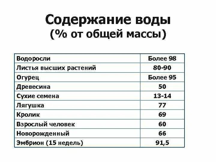 Содержимое не вода. Содержимое не вода. Содержимое не вода. Содержимое не вода. Содержимое не вода.