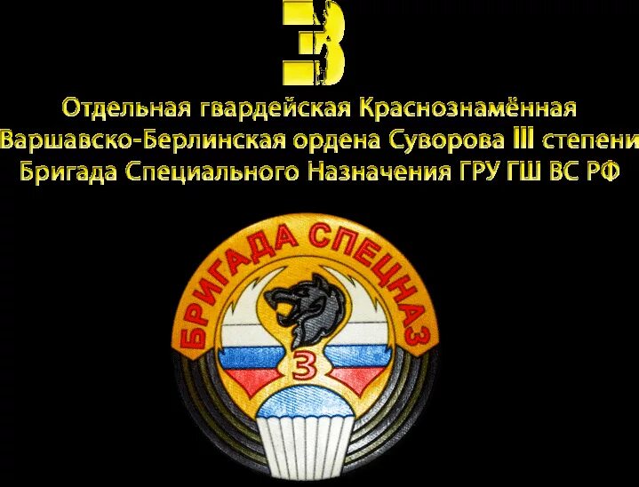 3 обрспн тольятти. Отдельный третий. Эмблема спн гру гш. 3 я бригада спецназа гру тольятти шеврон. Отдельный третий.