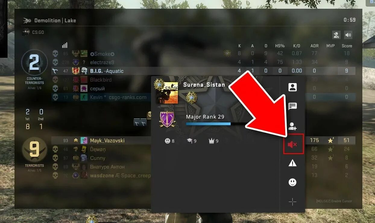 Как отключить тряску в кс2. Мут КС. Мут в КС го. Кнопка мута в КС. Голосовой чат в КС го.