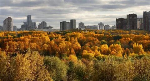 Москва осенняя 16 1