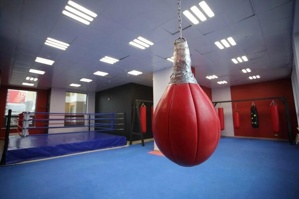 Соревнования по боксу екатеринбург. Boxing екатеринбург. Зал бокса ссср. Профессиональный бокс. Бокс екатеринбург.