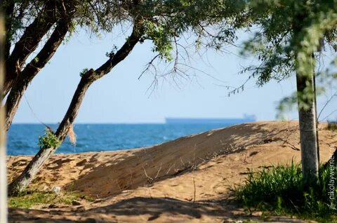 Тамань берег моря