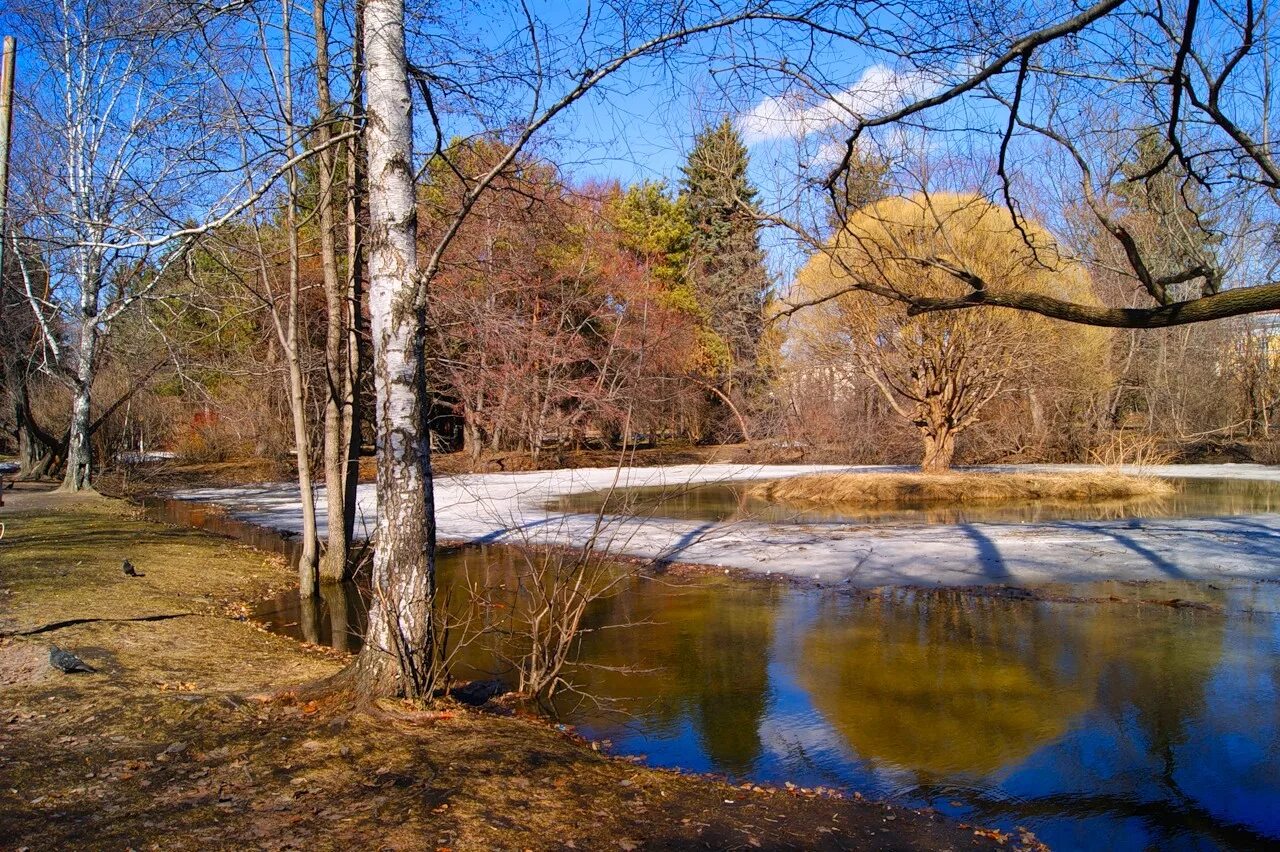 Месяц апрель это время. Апрель природа.