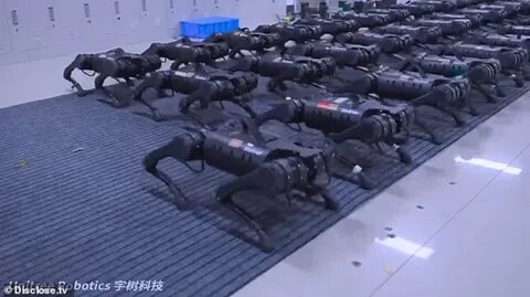 Legged robots