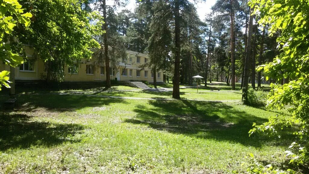 Фото лагеря лесной. Лесная сказка Самара лагерь. Детский лагерь Лесная сказка Самарская область. Детский лагерь Лесная сказка Кинельский район. Детский лагерь Лесной Самарская область.