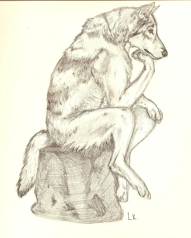 Мемы с волками. Волк задумался. Волки любовь рисунки. Волк думает. Уставший волк.