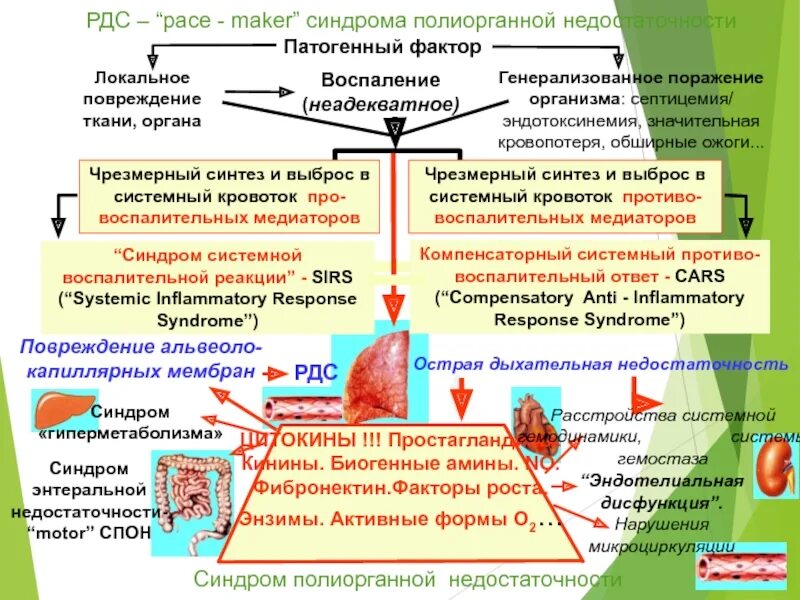 Синдром полиорганной недостаточности. Патогенез полиорганной недостаточности схема. Патогенез полиорганной недостаточности. Синдром полиорганной недостаточности патогенез. Полиорганная недостаточность код по мкб 10