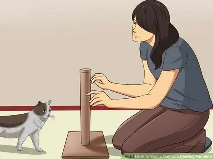 Cat stop