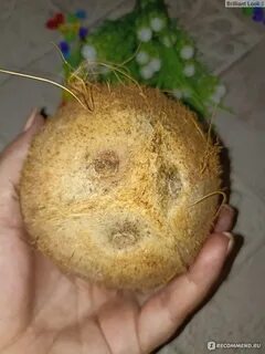 Чем является кокос