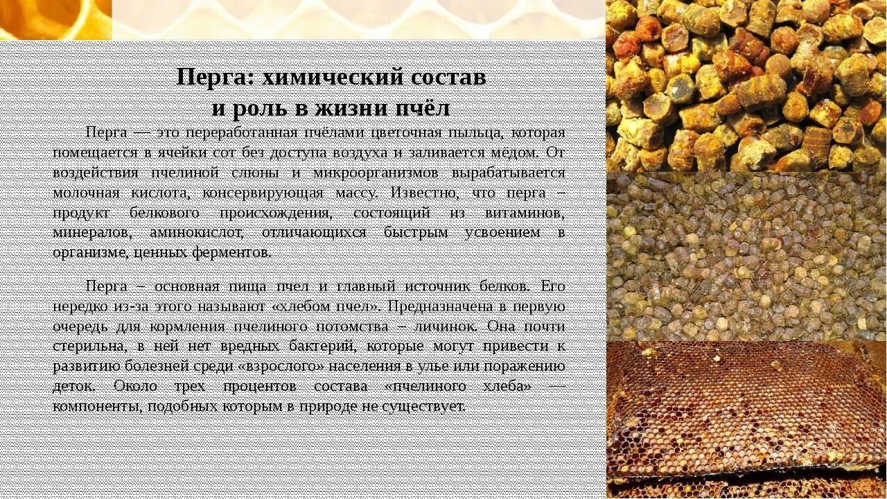 Пыльца рецепты. Пчелиные продукты перга. Хлеб перга пчелиный состав. Пыльца и перга пчелиная полезные. Перга от пчел.