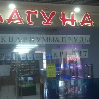 Арбуз таганрог