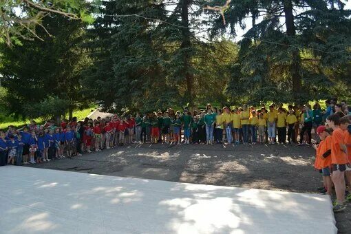 Лагерь сосновый бор кисловодск официальный сайт. Дол сосновый бор кисловодск. Лагерь сосновый бор кисловодск. Сосновый бор кисловодск. Детский лагерь сосновый бор кисловодск.