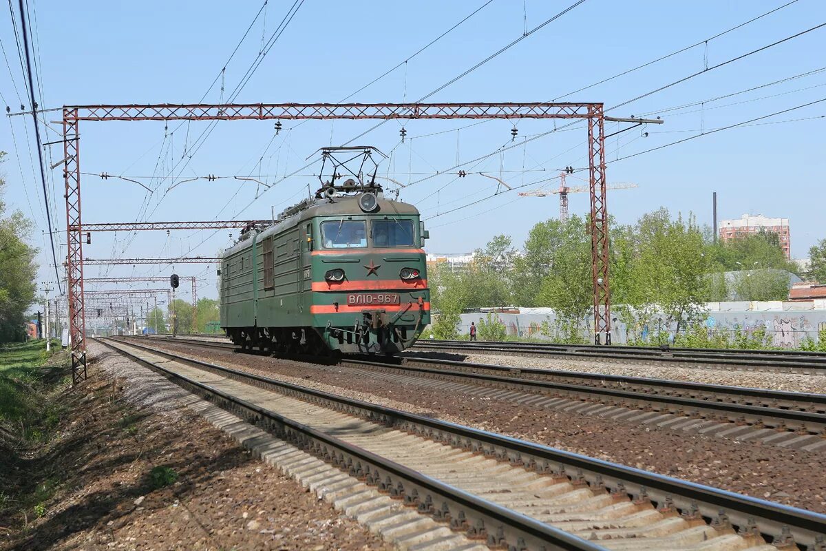 щербинка силикатная