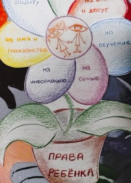 Проект на тему право на жизнь ООО Центр развития Тигренок Директор Лукина Юлия Николаевна