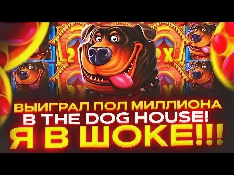 Пол миллиона в слоте дог хау. Битва слотов в the Dog House. Слот собаки казино мега Вейсэ. Слот собаки 23 000 казино на телефоне. Слот дог хаус демо dog houses info