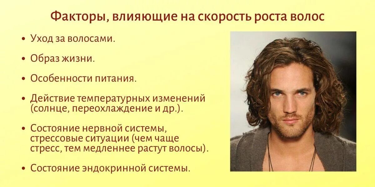 Рост волос по месяцам. Сколько вырастает волос за месяц у мужчин. Сколько вырастает волос за месяц у мужчин. Рост волос у подростков. Для роста волос.