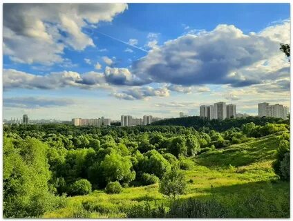 Южное тушино телефоны