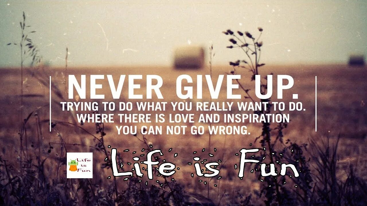 Невер ГИВ ап. Inspiration quotes in English. Love never gives up. Inspire quotes.