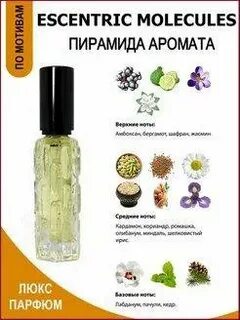 Секрет аромата от молекулы до духов