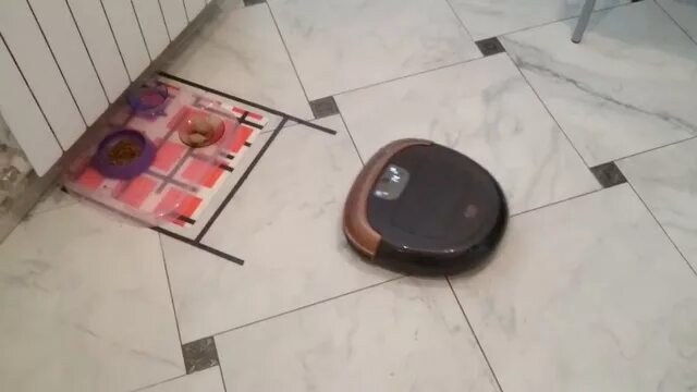 Робот пылесос размазал. Робот пылесос и какашки. робот пылесос размазал по полу. робот пылесос и собачьи экскременты.