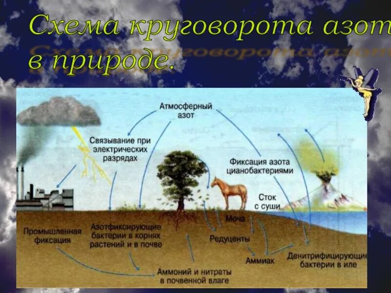 Азот в природе 9 класс. Круговороттазота в природе. Круговорот азота в природе. Круговорот азота в природе химия 9 класс. Круговорот азота в биосфере.