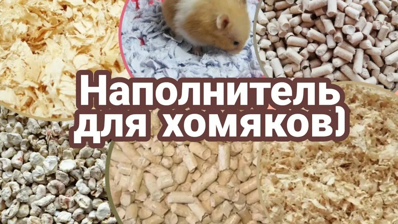 Лучший наполнитель для хомяков. Наполнитель для хомячков. Наполнитель для хомяков опилки. Наполнитель для хомяка для хомяка. Древесный наполнитель для хомяка.