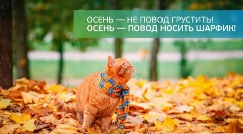 Осенило это