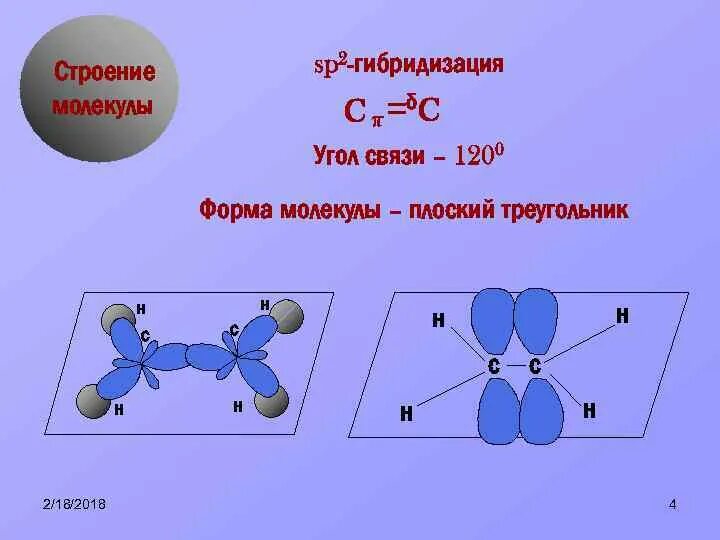Какую структуру имеет молекула. Какую структуру имеет молекула