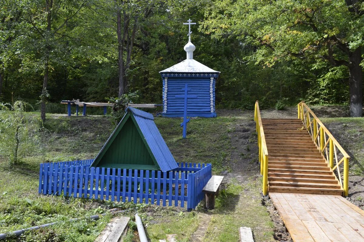 Родник святой источник. Родник Святой ключ. Сурский район Ульяновской области Родник. Родник "Святой горы". Родник «монастырский колодец», Святой источник (венёв).