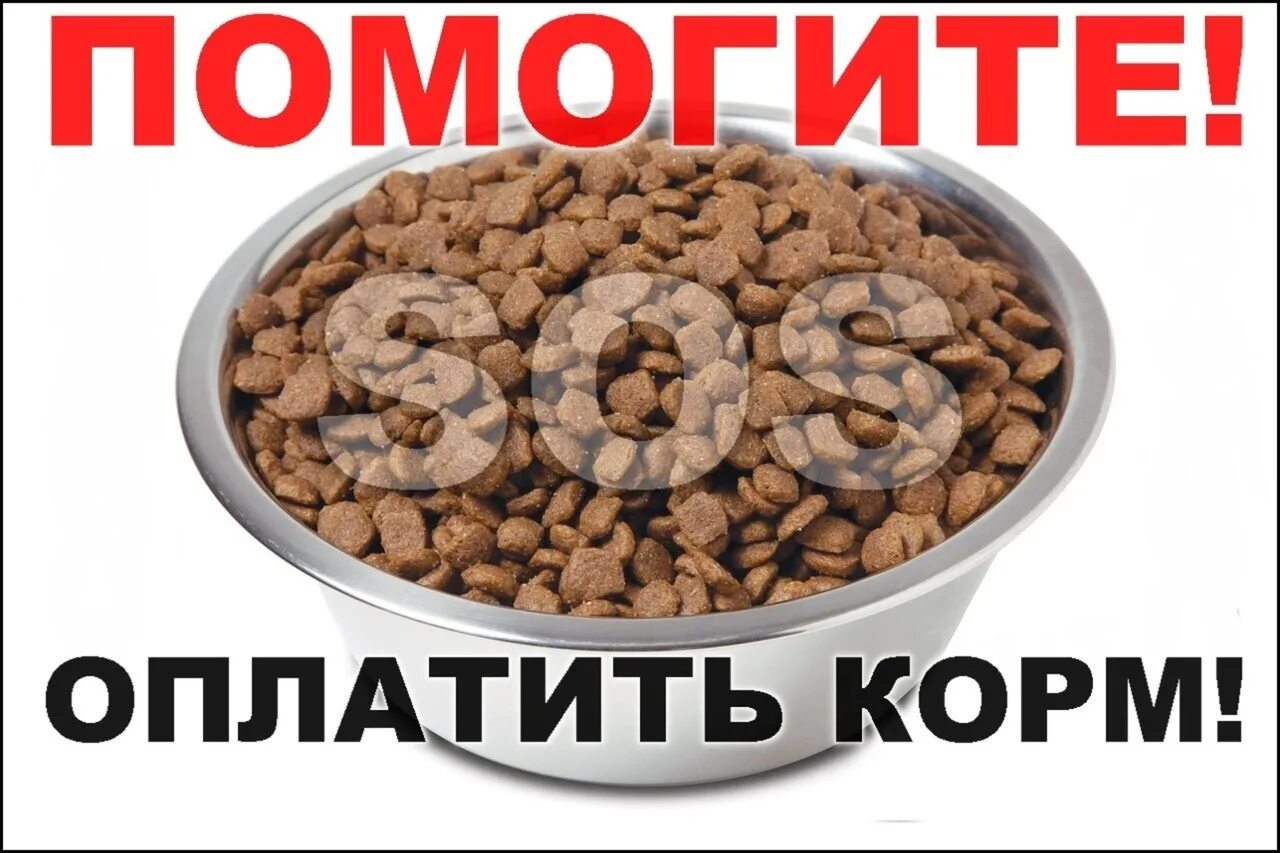 Нужно срочно купить