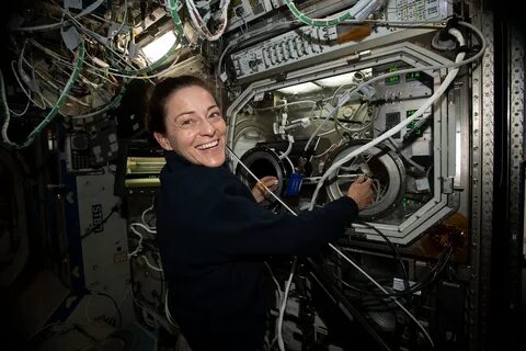 Дигги прохождение космическая станция наса