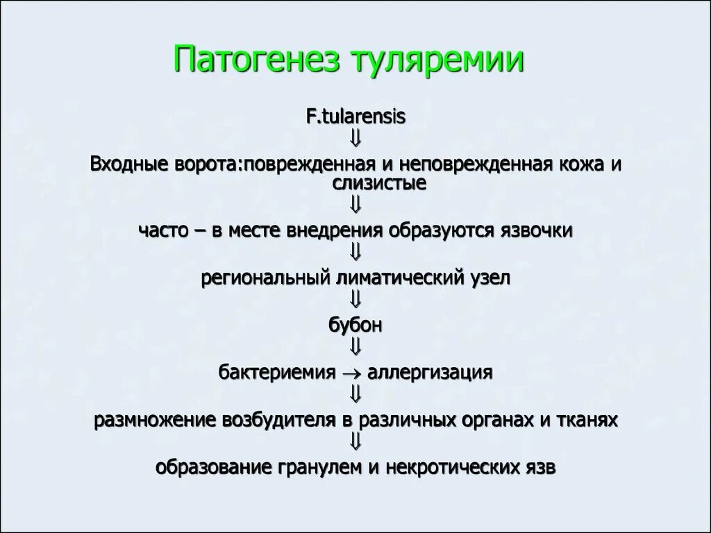 Патогенез животных. Возбудитель туляремии патогенез. возбудитель туляримия патогенез. возбудитель туляремии микробиология патогенез. туляремия патогенез и клиника.