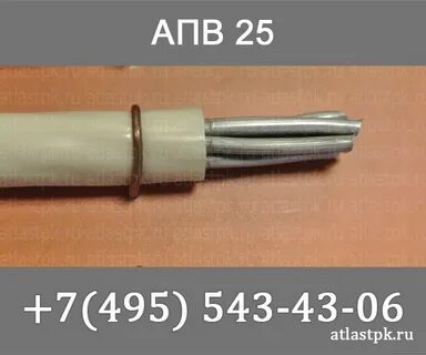 Пав 25