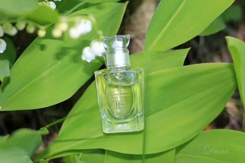 Dior зеленые