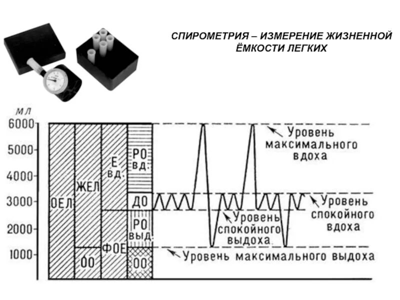 Измерение жизненных показателей. Измерение жизненной емкости легких. Спирометрия измерение. Жизненная емкость легких спирометрия. Измеритель жизненной емкости легких.