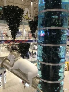 Золотое яблоко ходынский бул 4 фото