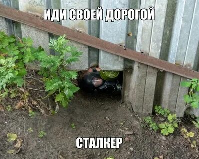 Иди своей дорогой песня