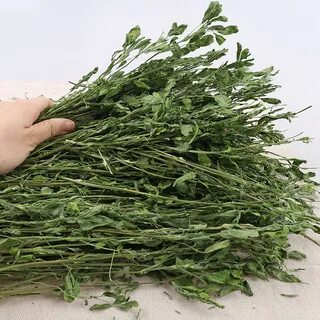 Сеяные травы как пишется